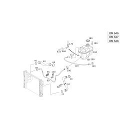 Hose Radiatr W211 Bottem