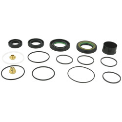 Steering gear repair kit