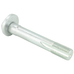 Camber adjusting eccentric bolt