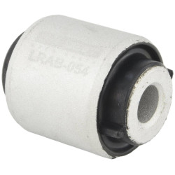 bushing, rear lower control arm