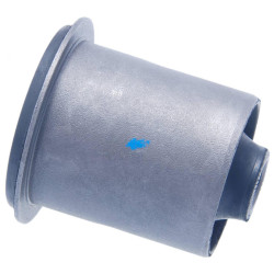 Bushing, rear lower control arm