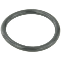 Cooling system o-ring