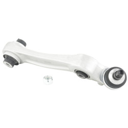 Right lower front arm