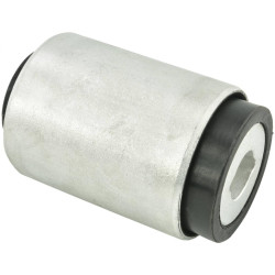 Bushing, rear lower control arm