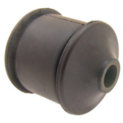 Bushing, rear lower trailing rod
