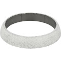 Exhaust Pipe Gasket
