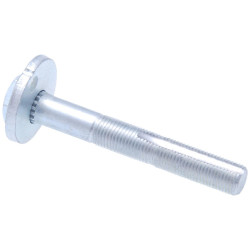 Camber adjusting eccentric bolt