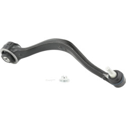 right lower front arm