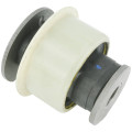 Bushing, rear lower trailing arm