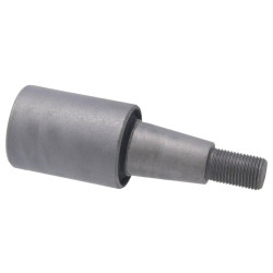 Bushing, front lower control arm