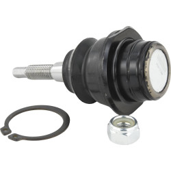 ball joint front upper arm