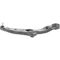 right lower front arm