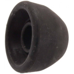 Front radius rod bushing