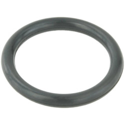Cooling system o-ring