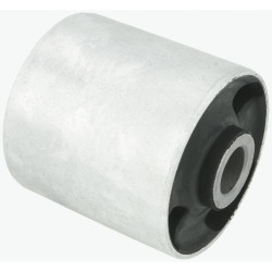 Bushing, rear lower control arm