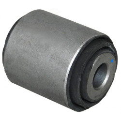 Bushing, rear lower control arm