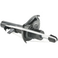 Febest Shock Absorbers for Ford