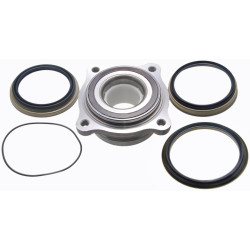 Rear wheel hub kit
