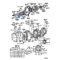 Oil Seal