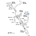 OEM Genuine HOSE, OIL COOLER