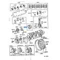 Timing Gear Cover - TOYOTA Coaster Dyna Land Cruiser 3B 14B