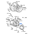 Oil Seal