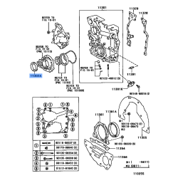 Oil Seal Timing Cover