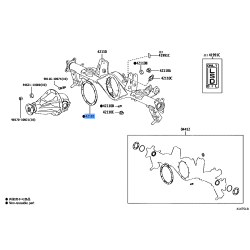 Gasket