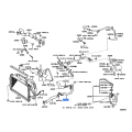 Bottom Radiator Hose