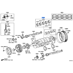 Bearing Set