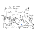 Bottom Radiator Hose - Toyota Land Cruiser (RJ70 RJ77)