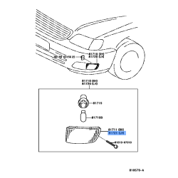 Turn Signal Lens
