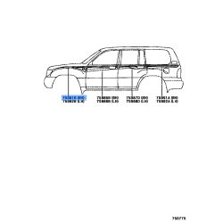 Accent Stripe Fender