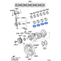 Crankshaft Bearing