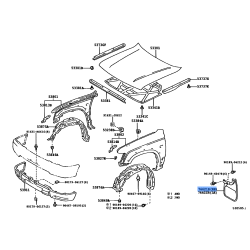 Fr Mud Flap Rh