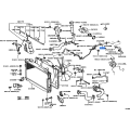 TOYOTA 16264-66021 Genuine Hose, Water By-Pass, No.2