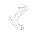 Arm(L),Lower