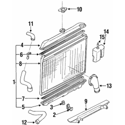 Radiator Hose Bottom