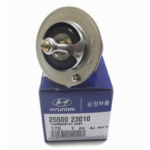 HYUNDAI / KIA 25500-23010 Thermostat Assembly