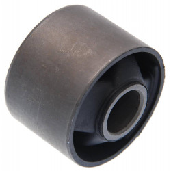 Differential mount bushing