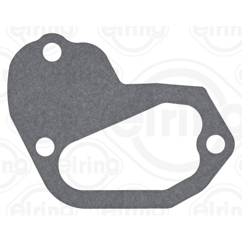 Gasket Exhaust Pipe