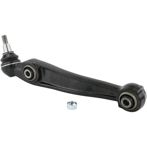 Right lower front arm