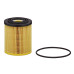 Cartridge Oil Filter
