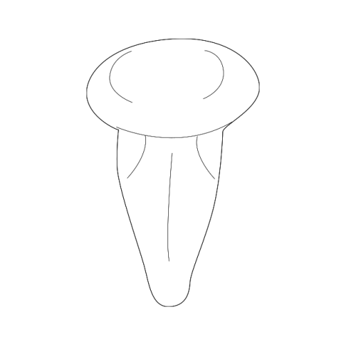 Clip,Roof Mould