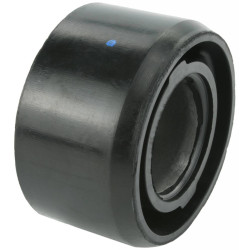 Rear differential bushing