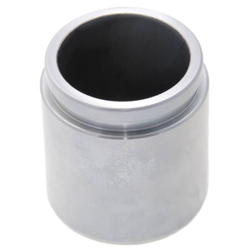 rear caliper piston d48