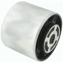 Differential mount bushing