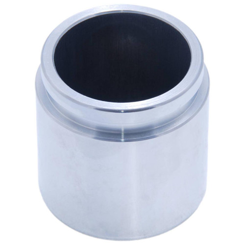 rear caliper piston d48.1