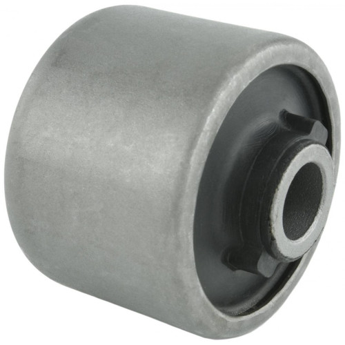 Differential mount bushing (hydro)