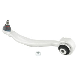 Right lower front arm